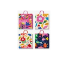 BOLSA REGALO  (25BZ0015)