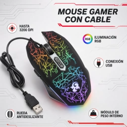 MOUSE